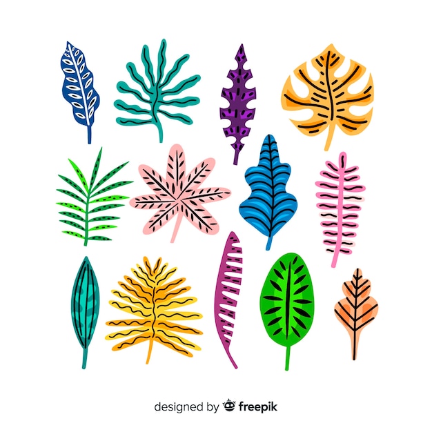 Free Vector hand drawn tropical leaves collection