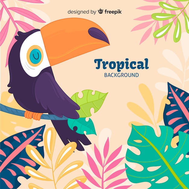 Hand drawn tropical plants and bird background