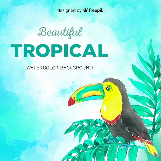 Free vector hand drawn tropical plants and bird background