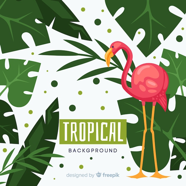 Free Vector hand drawn tropical plants and bird background