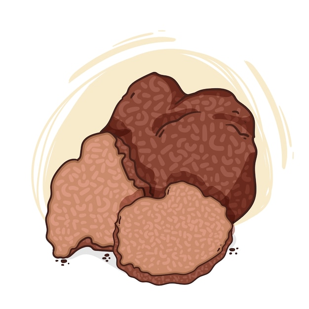 Free Vector hand drawn truffle  illustration