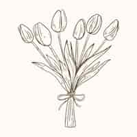 Free vector hand drawn  tulip outline illustration