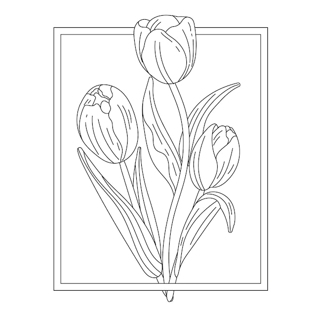 Free vector hand drawn tulip outline illustration