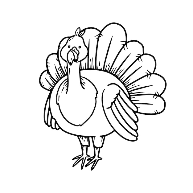 Hand drawn turkey outline illustration