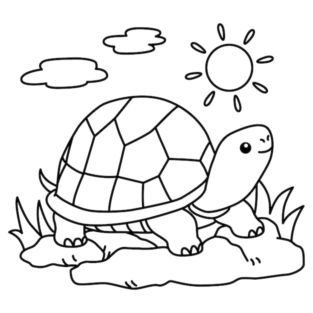 Hand drawn turtle outline illustration