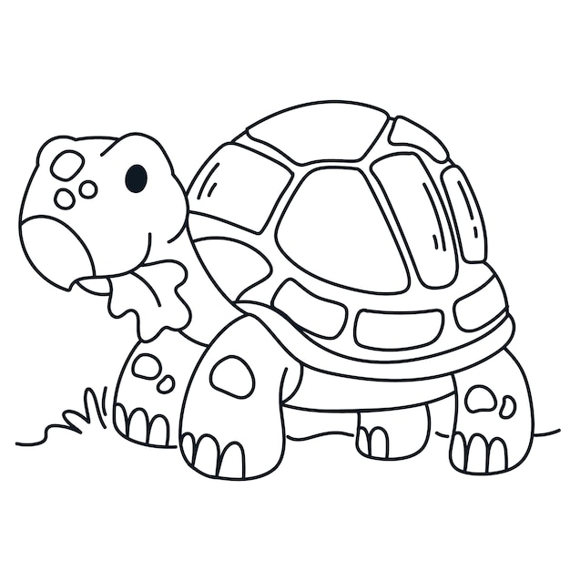 Hand drawn turtle outline illustration