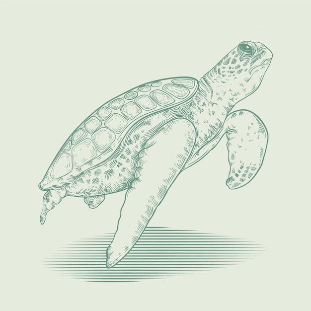 Free Vector hand drawn turtle outline illustration