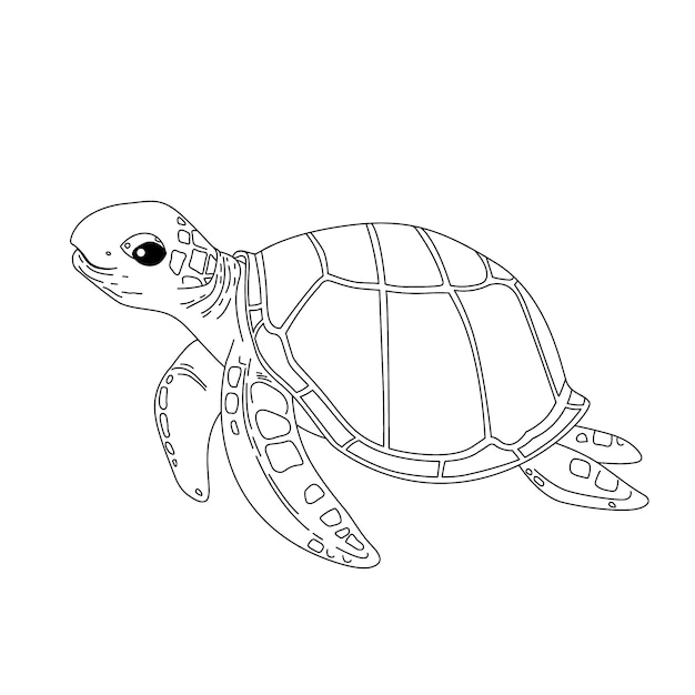 Hand drawn turtle outline illustration