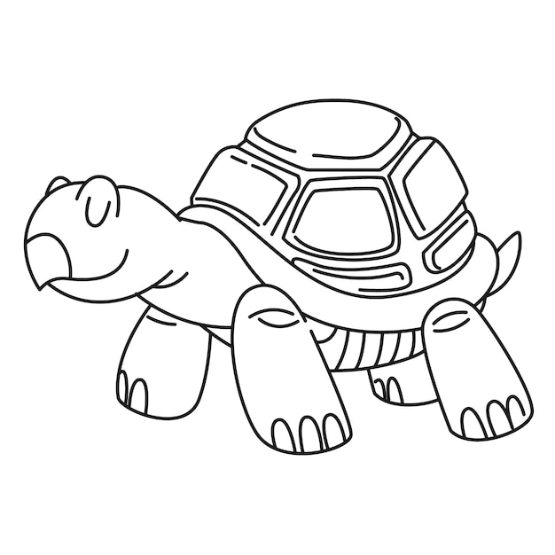 Hand drawn turtle outline illustration