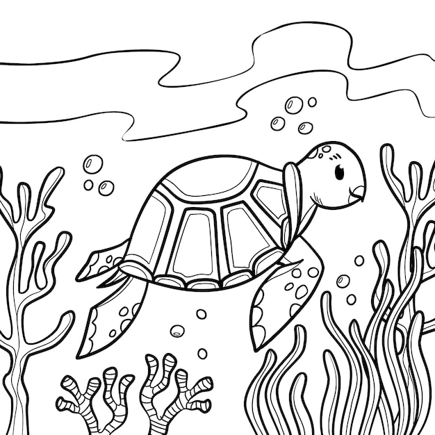 Hand drawn turtle outline illustration