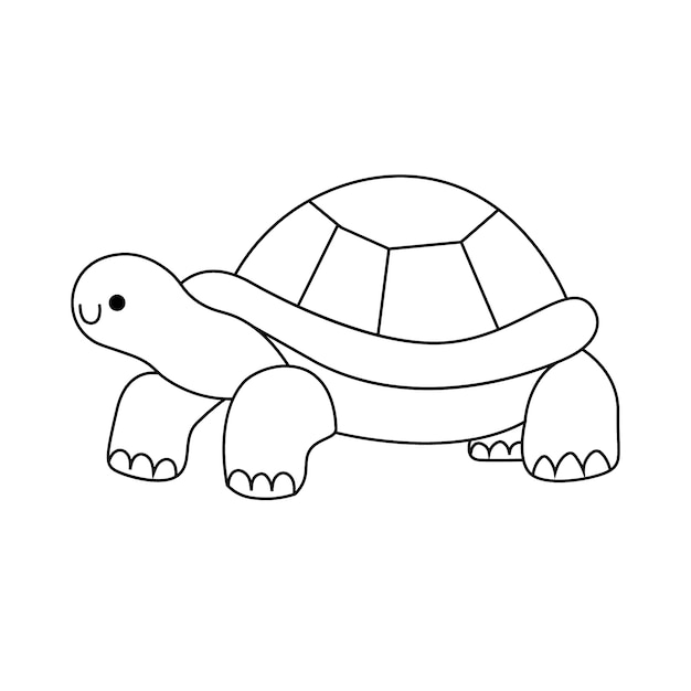 Hand drawn turtle outline illustration