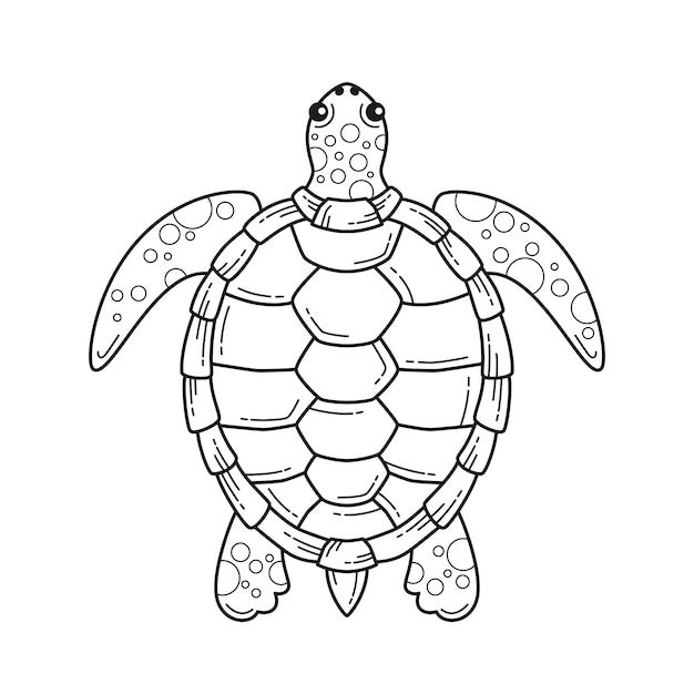 Free Vector hand drawn turtle outline illustration