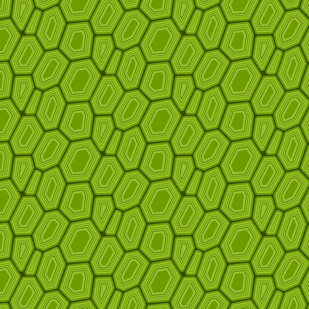 Free vector hand drawn turtle shell pattern