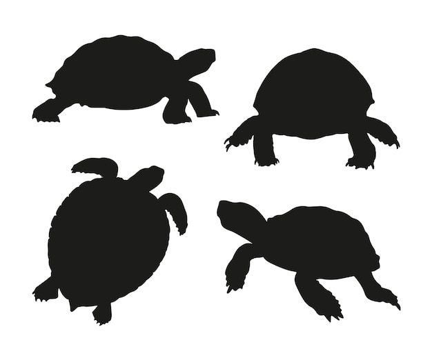 Free Vector hand drawn turtle silhouette