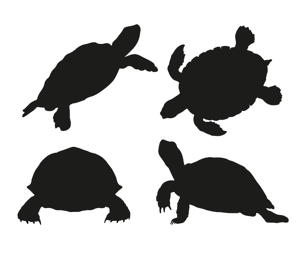 Free Vector hand drawn turtle silhouette