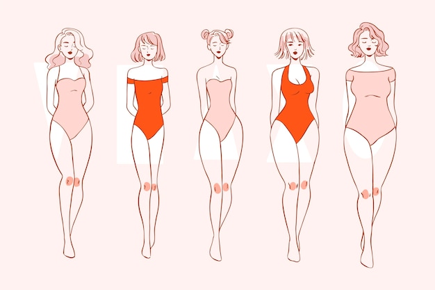 Free Vector hand drawn types of female body shapes