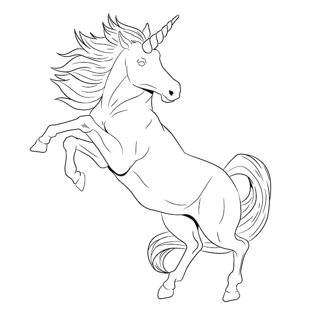 Hand drawn unicorn outline illustration