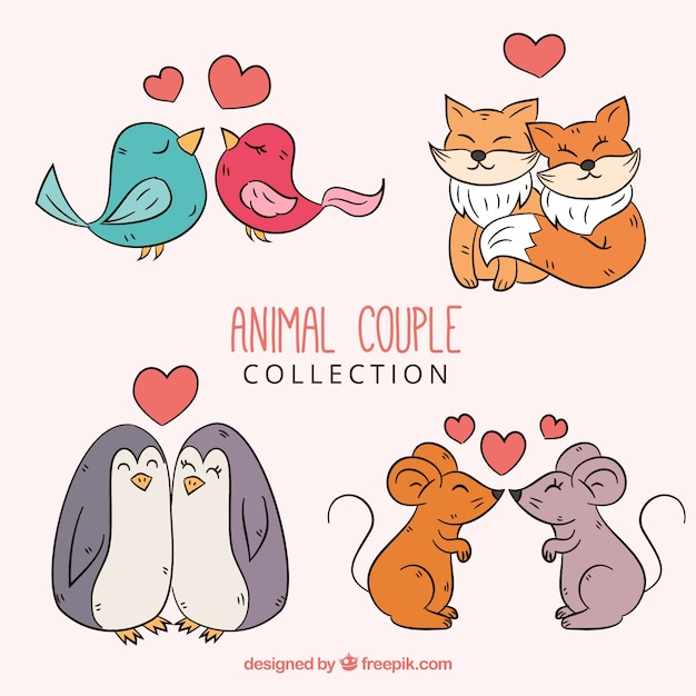 Hand drawn valentine's day animal couple collection 