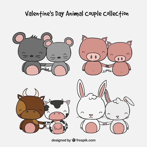 Hand drawn valentine's day animal couple collection