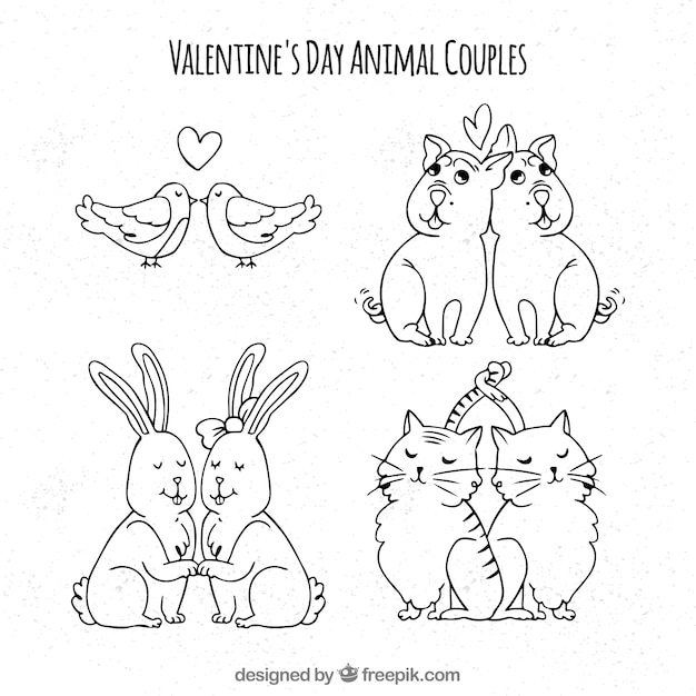 Hand drawn valentine's day animal couple collection