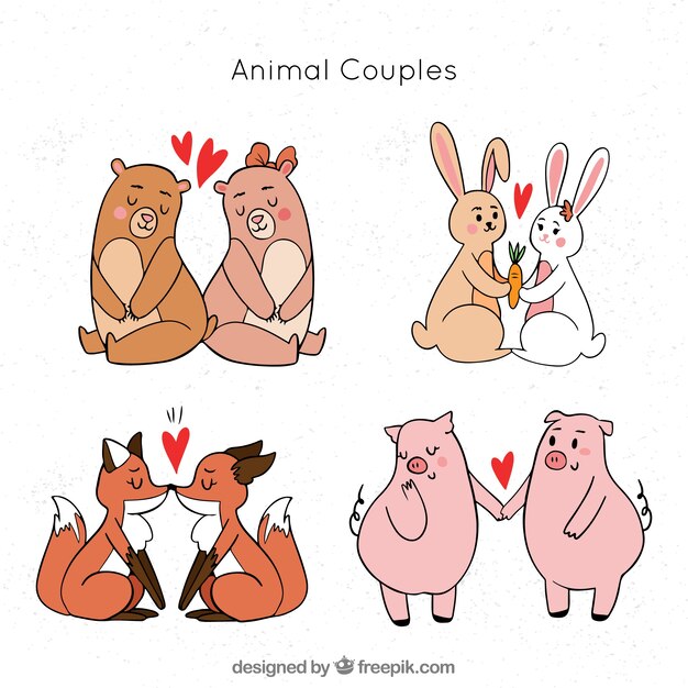 Hand drawn valentine's day animal couple collection