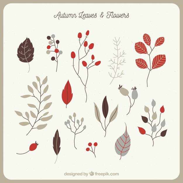 Hand drawn variety of autumnal leaves