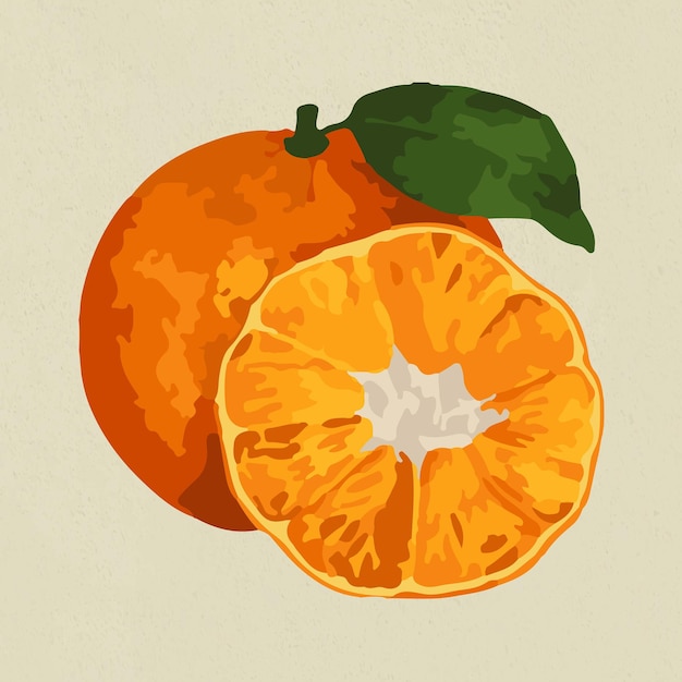 Free Vector hand drawn vectorized tangerine orange sticker design resource