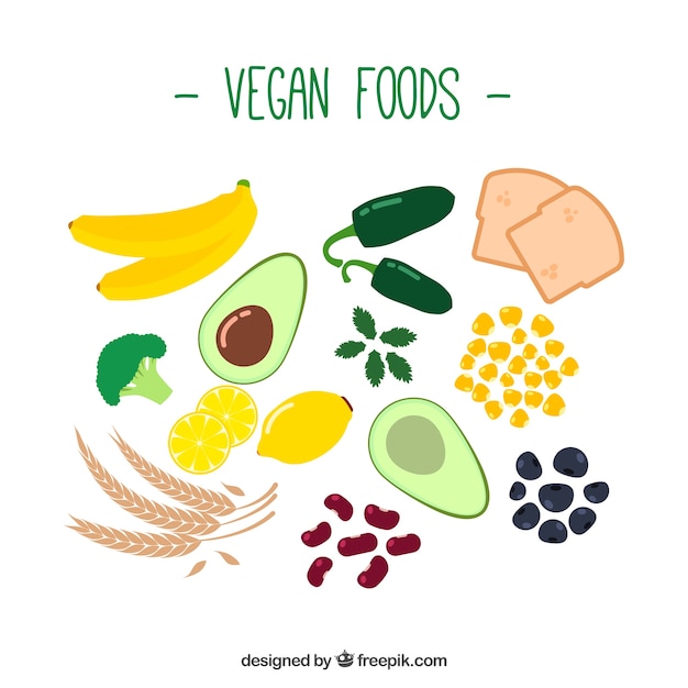 Hand drawn vegan ingredients