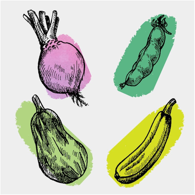 Hand drawn vegetables collection