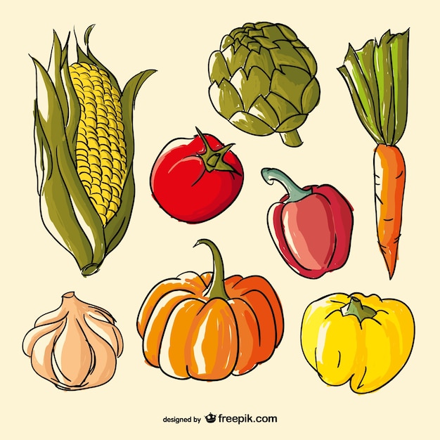 Free vector hand drawn vegetables