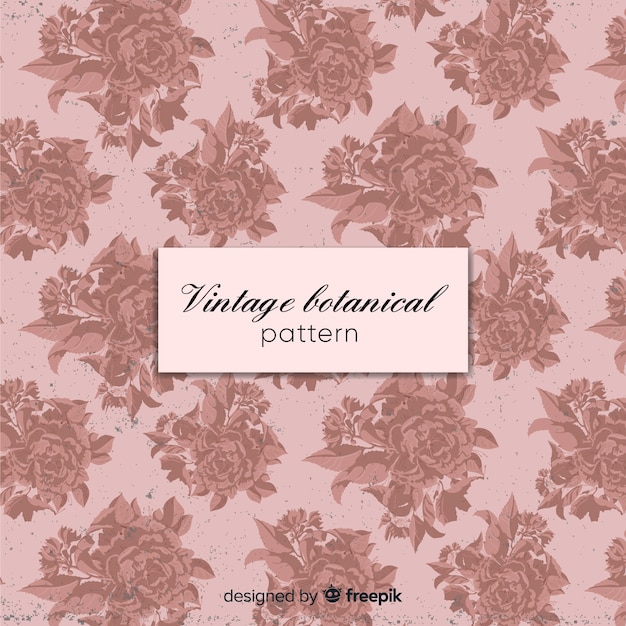 Free Vector hand drawn vintage botanical background