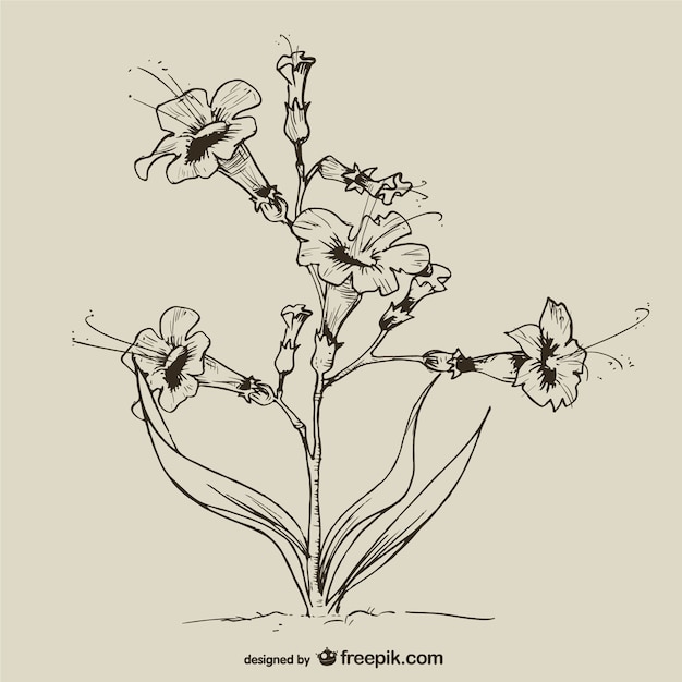 Free Vector hand drawn vintage flowers