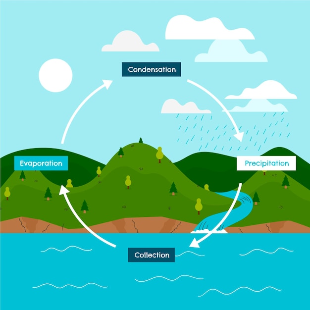 Hand drawn water cycle