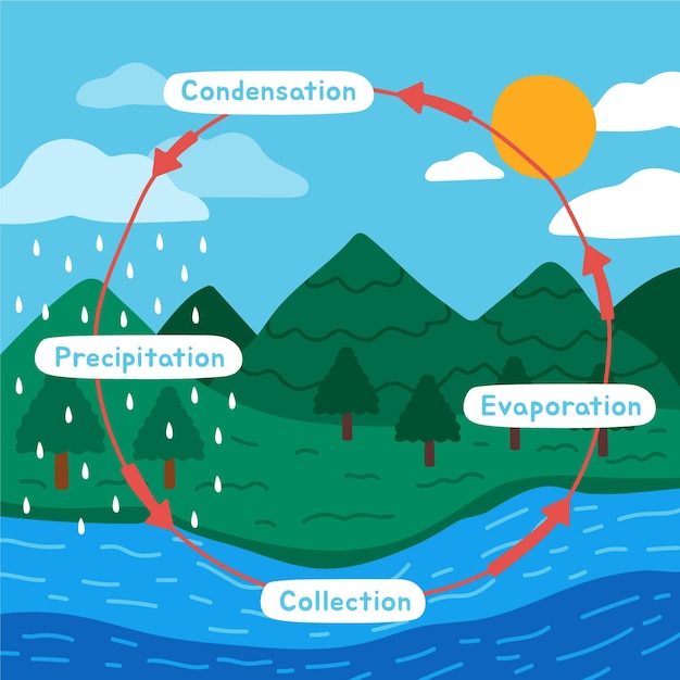 Free Vector hand drawn water cycle