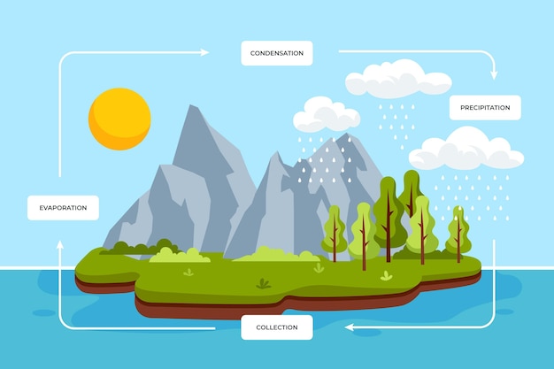 Free Vector hand drawn water cycle