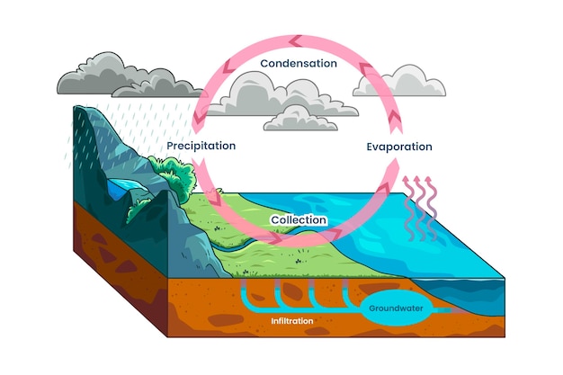 Hand drawn water cycle