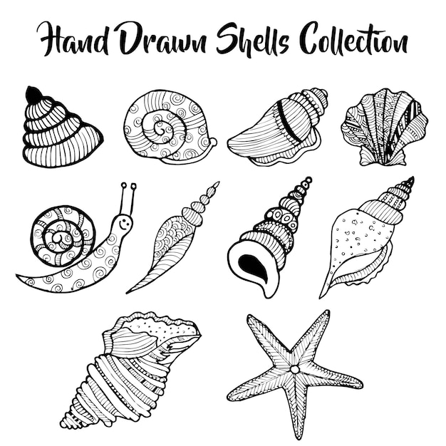 hand drawn under water shells collection