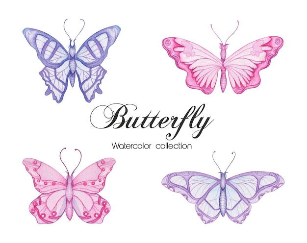 Hand drawn watercolor butterflies collection