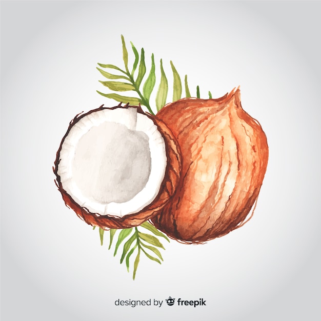 Free Vector hand drawn watercolor coconut background