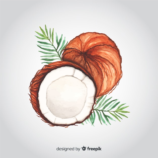 Free Vector hand drawn watercolor coconut background