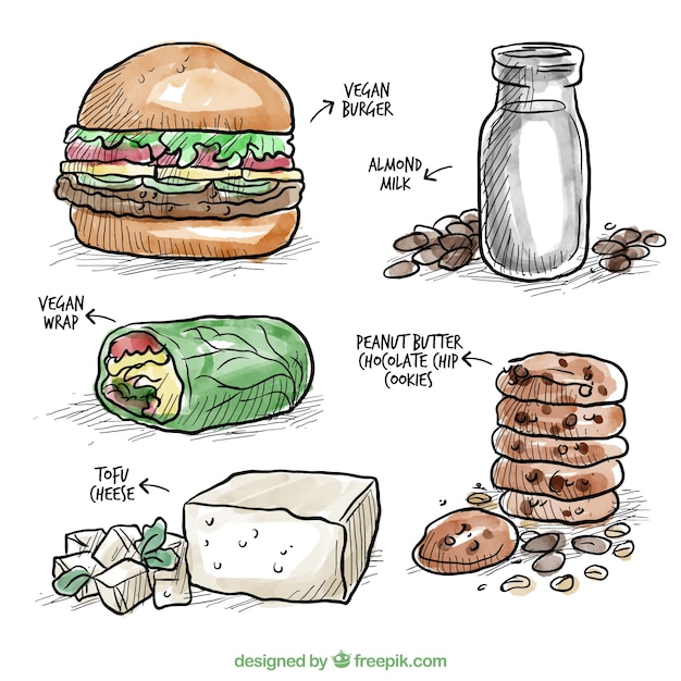 Hand drawn watercolor delicious vegan food