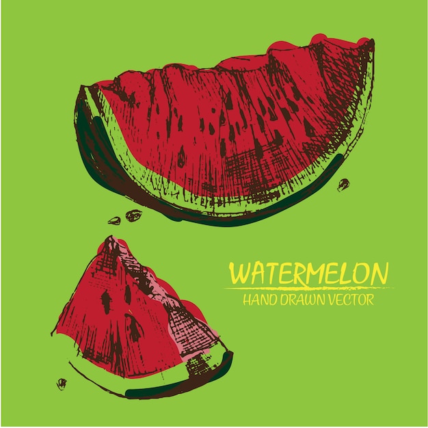 Free Vector hand drawn watermelon design