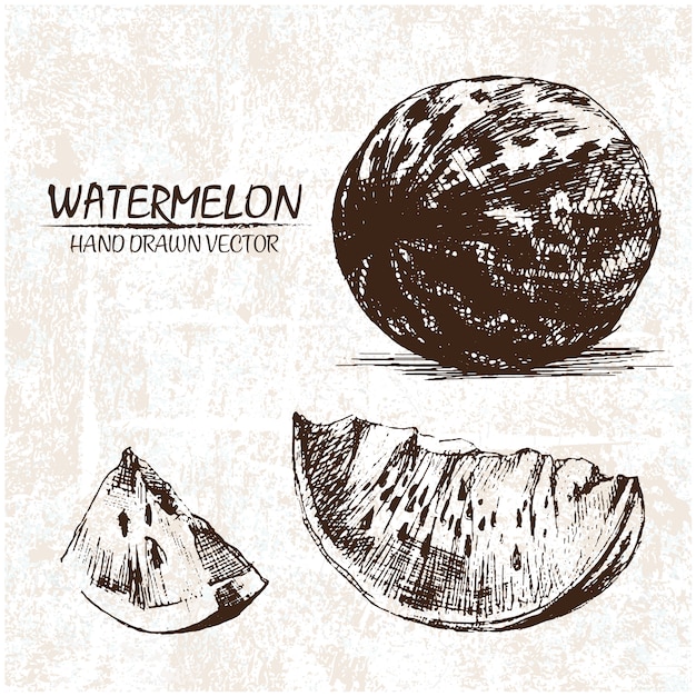 Hand drawn watermelon design