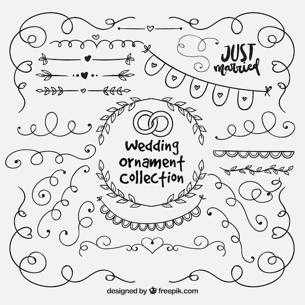 Hand drawn wedding ornament collectio