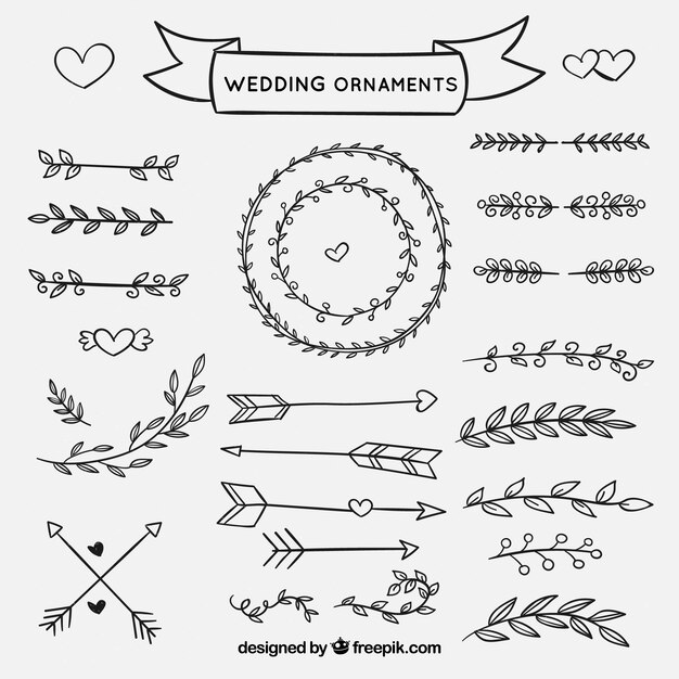 Hand drawn wedding ornament collection