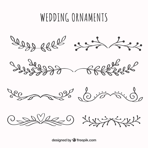 Hand drawn wedding ornament collection