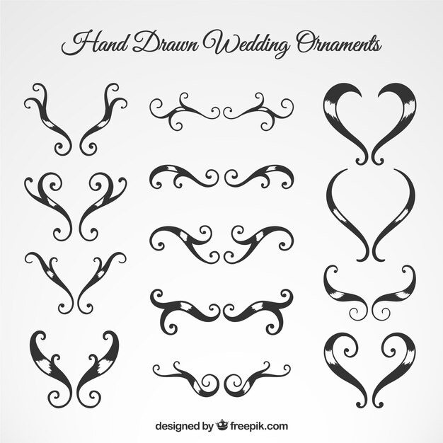 Hand Drawn Wedding Ornaments Collection