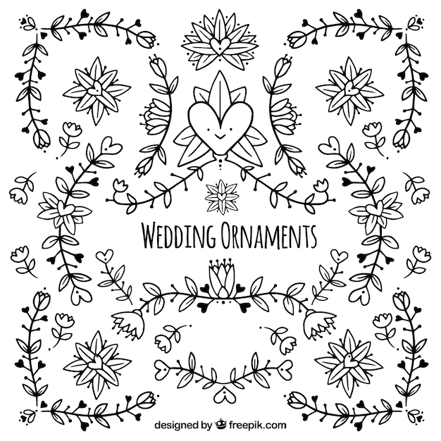 Hand drawn wedding ornaments collection