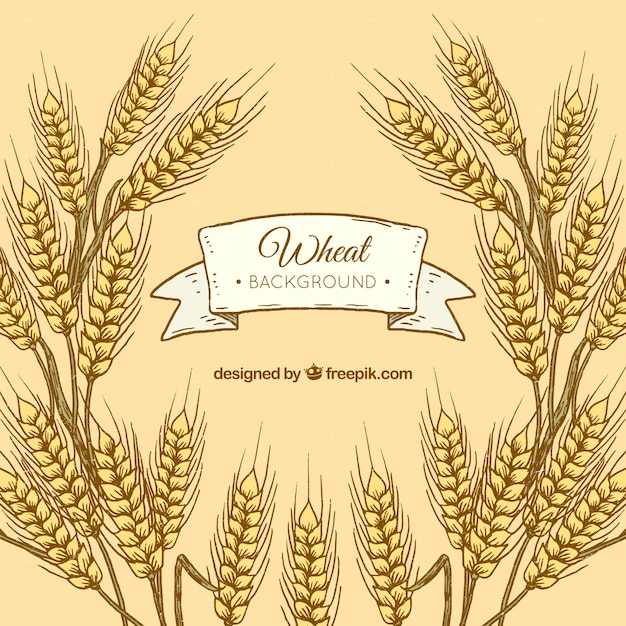 Free Vector hand drawn wheat background