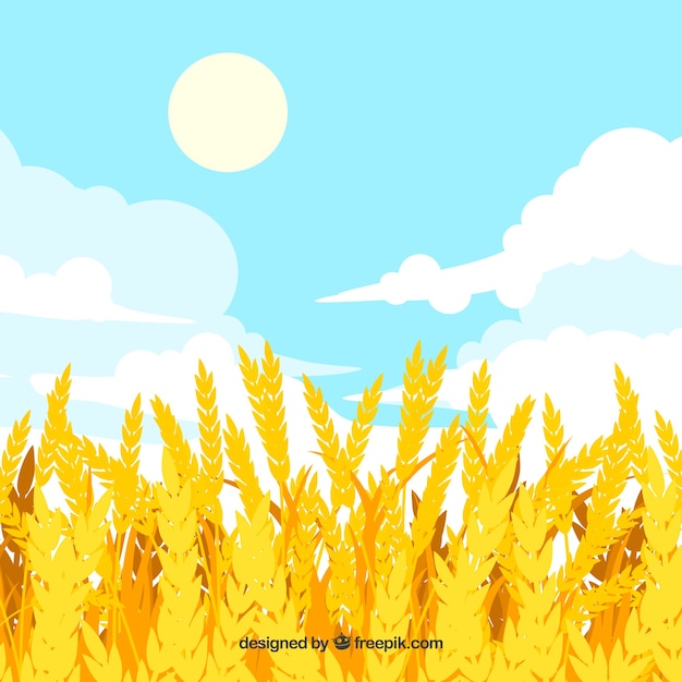 Hand drawn wheat background